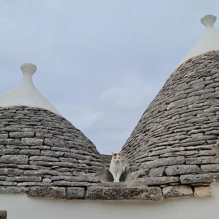 Trullo Serenita With Relaxing Private Pool Area Apartment Martina Franca